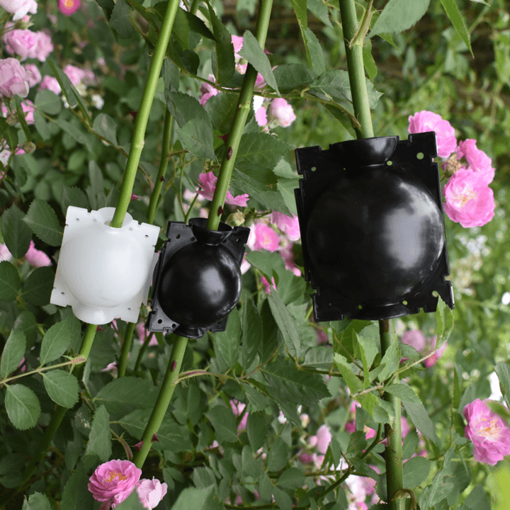 Frendorf | Luftschichtungs Pflanzenvermehrer Pod