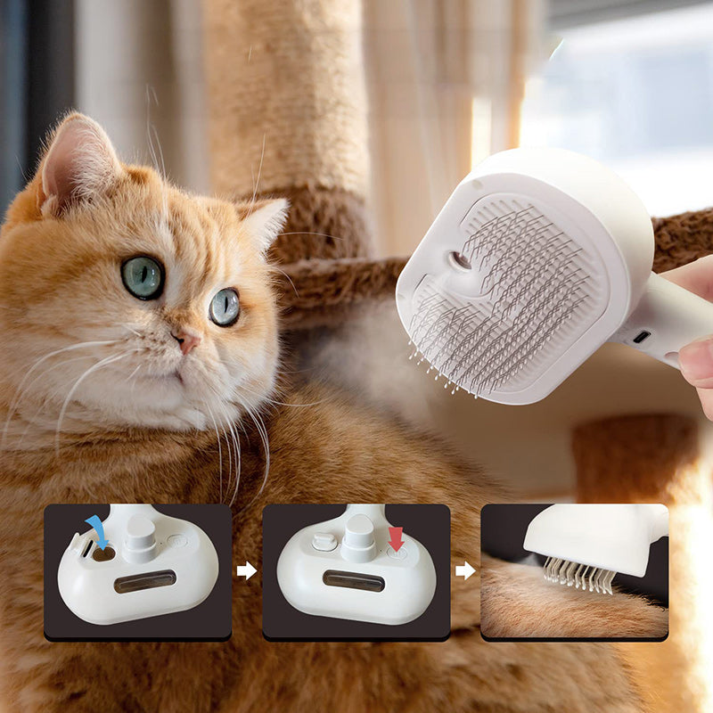 Frendorf |  Spray Katzenbürste