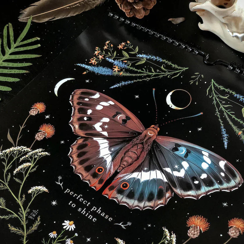 Frendorf | 2023 Dunkler Wald Mondkalender