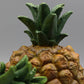 Frendorf | TropiLume Gartenleuchte | Outdoor Solarlicht | Wetterfest | Ananas LED Dekoleuchte