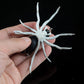 Frendorf | Spider Soft Lure Angelköder