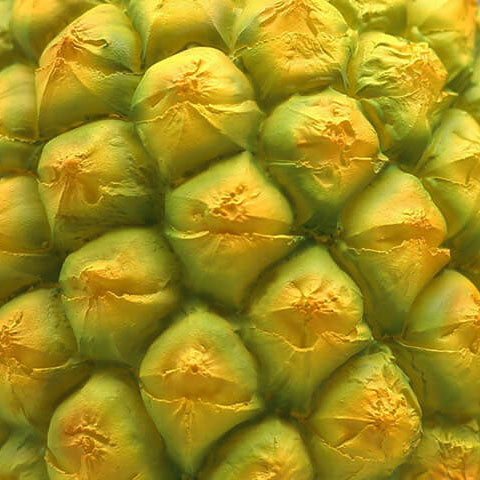 Frendorf | TropiLume Gartenleuchte | Outdoor Solarlicht | Wetterfest | Ananas LED Dekoleuchte