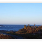 Frendorf | Louisbourg Leuchtturm An Der Küste Wandkunst