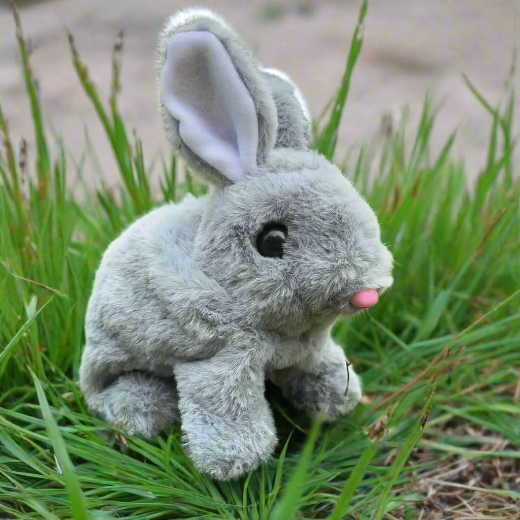 Frendorf | Bewegung & Sound für endlosen Spaß