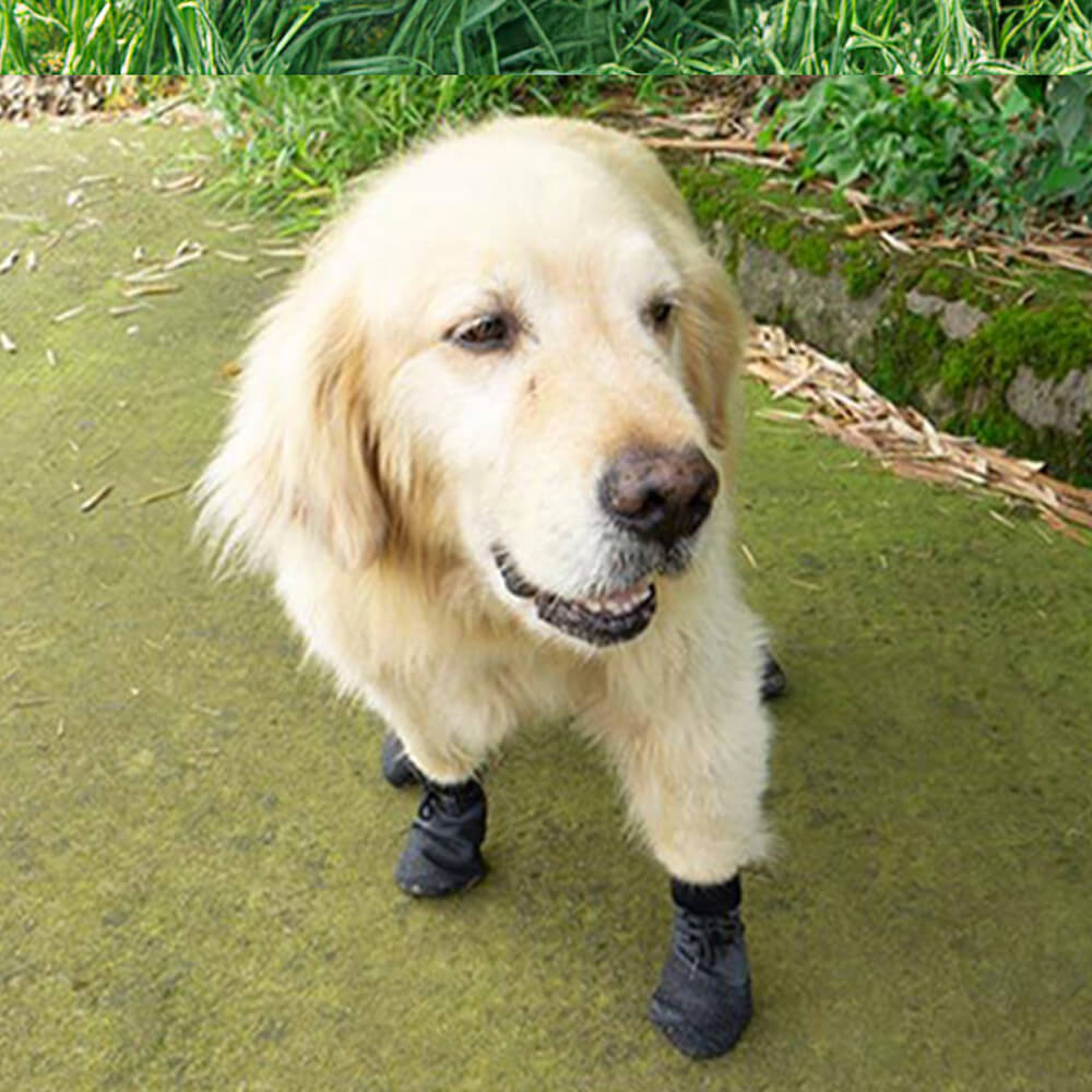 Outdoor wasserdicht atmungsaktiv wandern laufen rutschfeste hundeschuhe