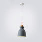 Frendorf | AuroraLite Nordic Pendelleuchte | Metall-Design | 1-Licht | Moderne Farboptionen