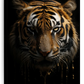 Frendorf | Dunkle Tiger Wandkunst