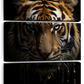 Frendorf | Dunkle Tiger Wandkunst