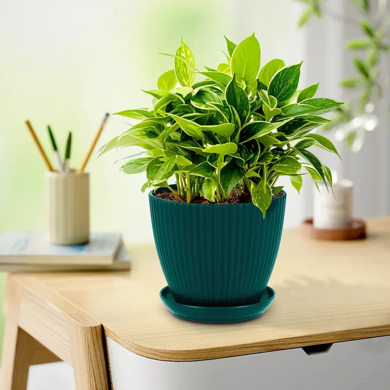 Frendorf | Blumentopf mit Rillenstruktur und Untersetzer – Stabiler Kunststofftopf für Pflanzen