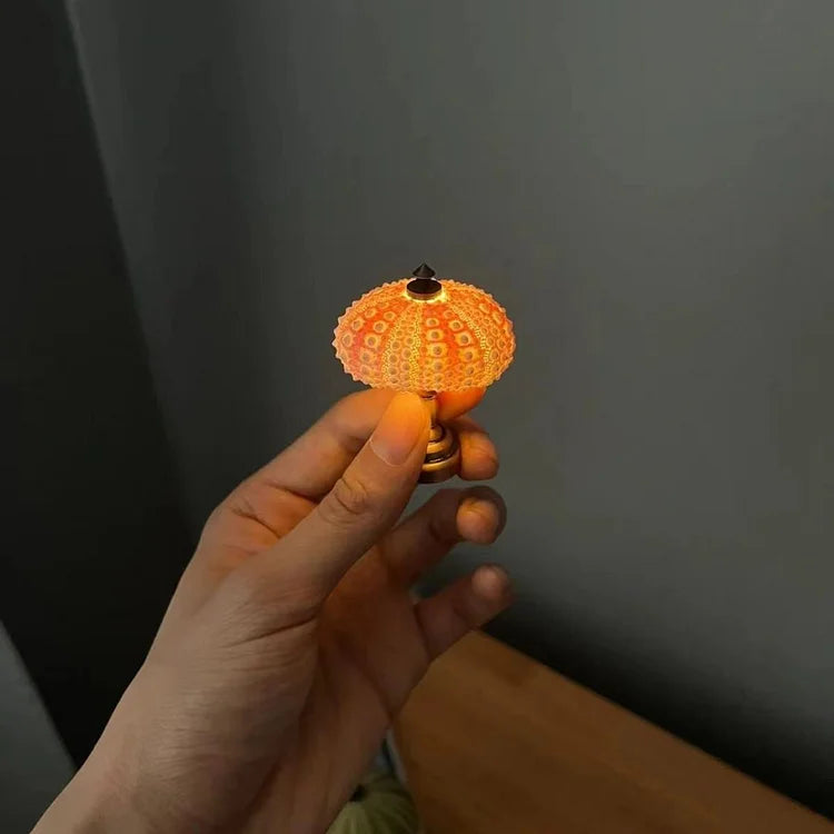 LumiCraft – Einzigartige DIY Tischlampe mit natürlicher Urmuschel für eine stimmungsvolle Einrichtung