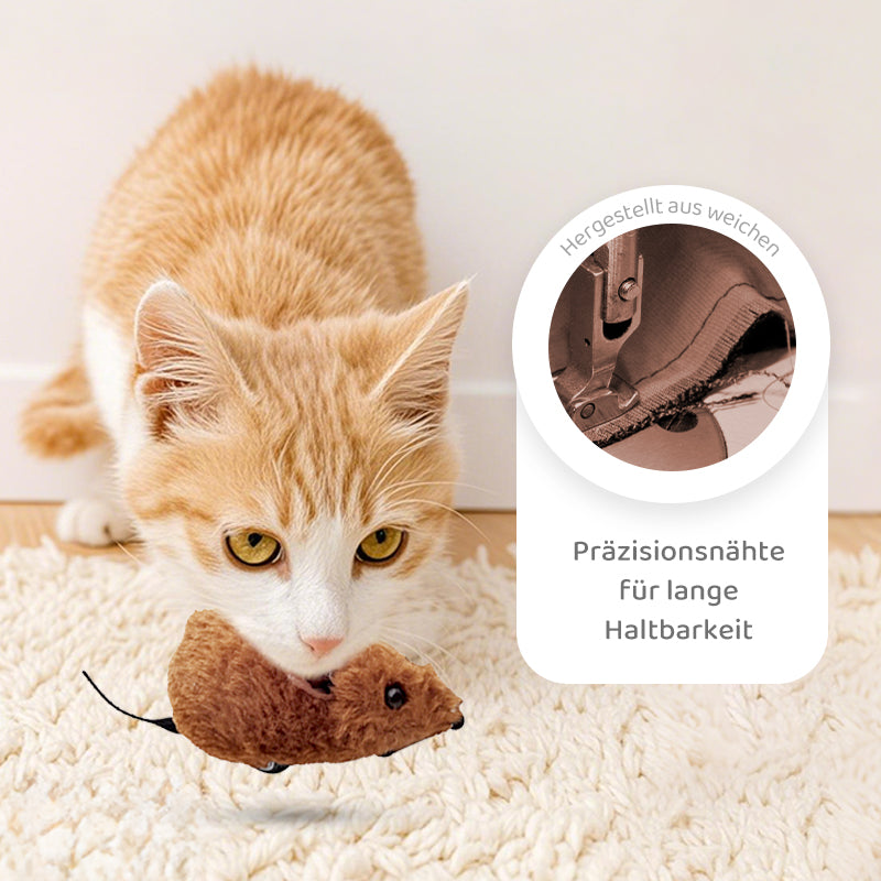 Frendorf |  CatPlay – Jagen, spielen, juchzen – der Spaß für deine Katze!