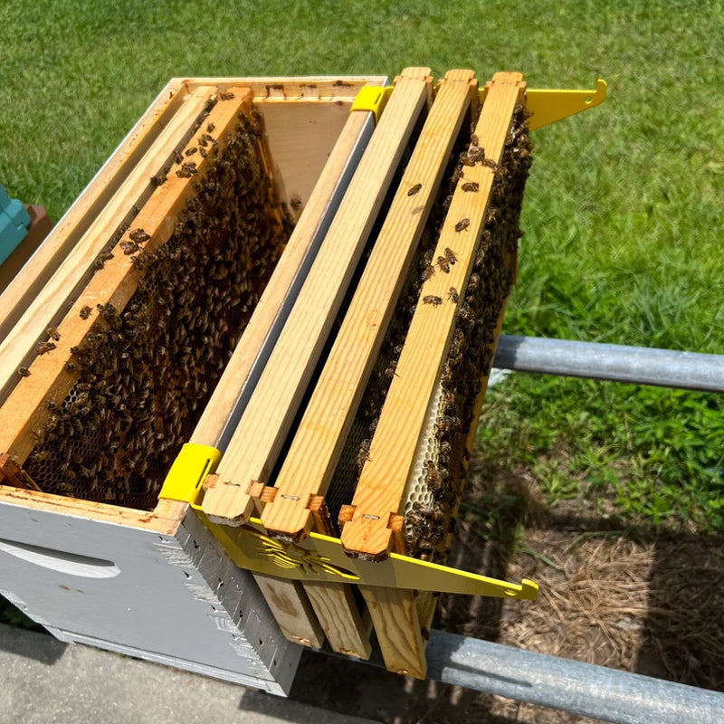 Frendorf | Bienenstock Inspektionshalter