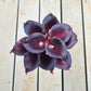 10 marineblaue Calla-Lilien PU Real Touch Blumen Hochzeitsdekoration Sträuße Tischdekoration Kunstblumen Wohnkultur