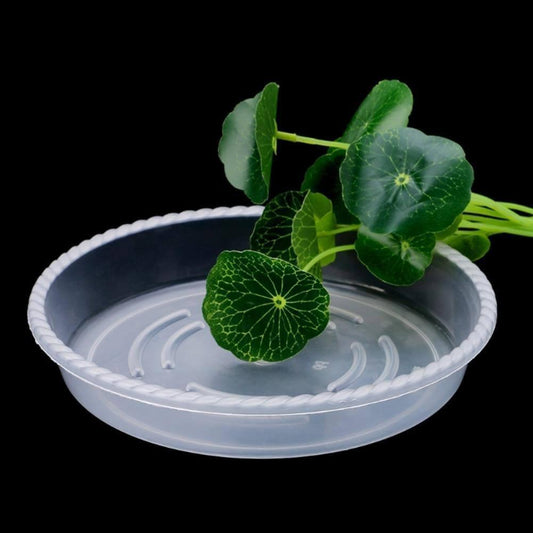 Frendorf | PlanterShield 10-teiliges Transparentes Kunststoff-Untersetzer-Set | Pflanzenschutz für Zuhause und Garten
