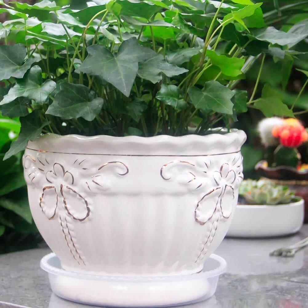 Frendorf | PlanterShield 10-teiliges Transparentes Kunststoff-Untersetzer-Set | Pflanzenschutz für Zuhause und Garten