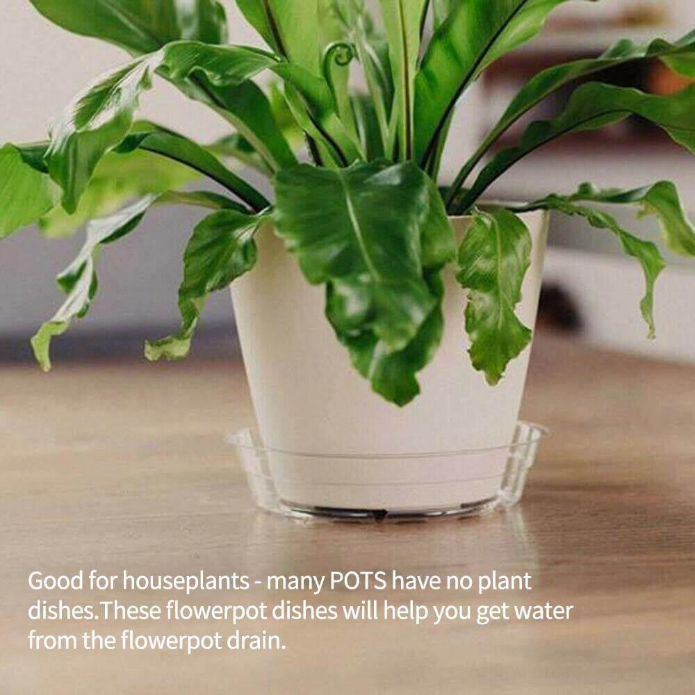 Frendorf | PlanterShield 10-teiliges Transparentes Kunststoff-Untersetzer-Set | Pflanzenschutz für Zuhause und Garten