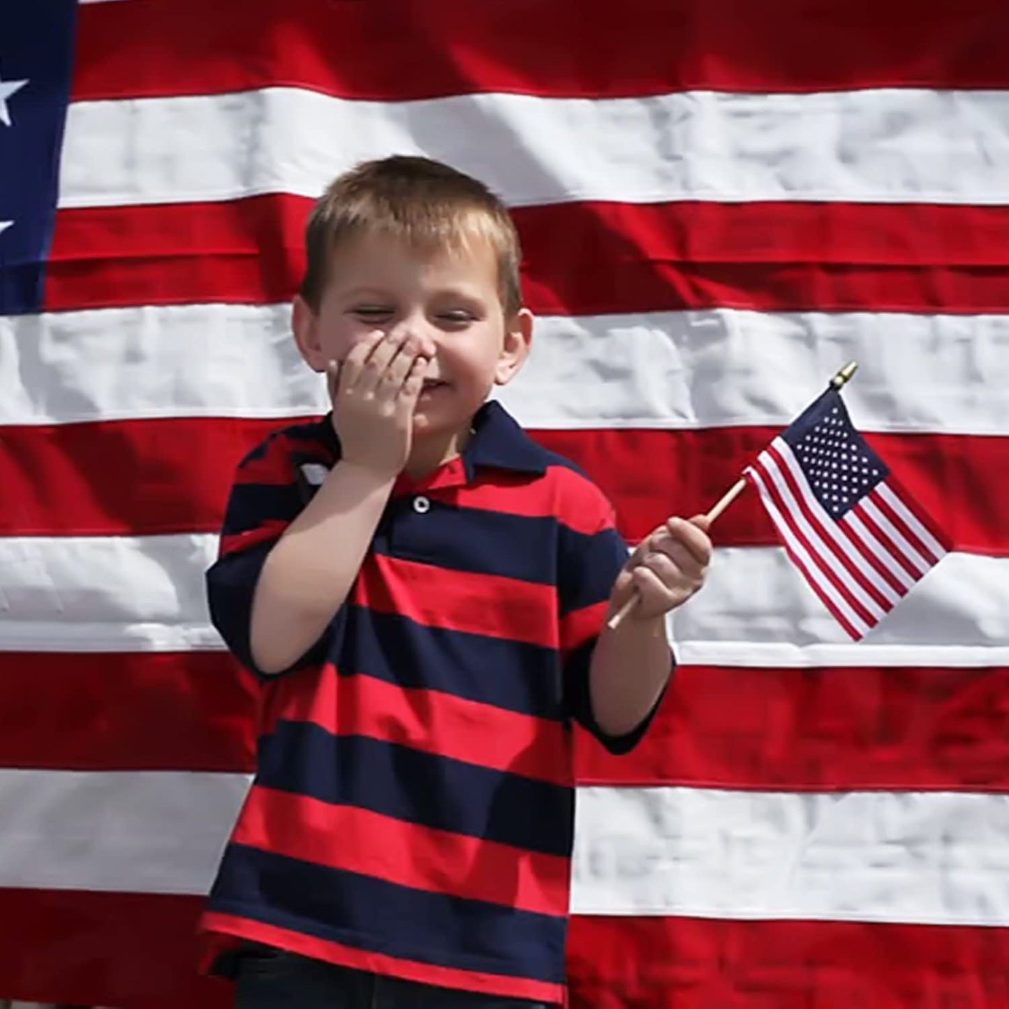 Frendorf | 100-Pack: USA 4x6 in Holzstabflagge