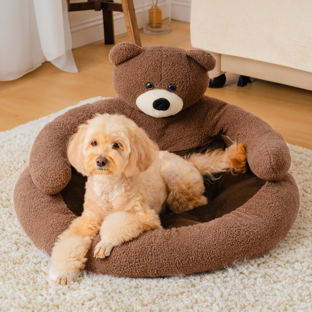 Süßes abnehmbares Kuschelbär-Katzenbett