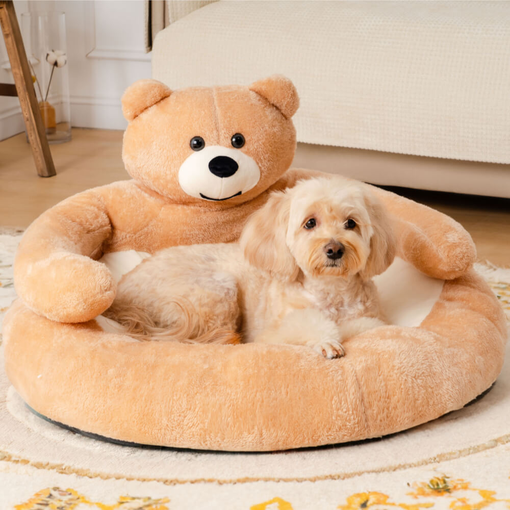 Süßes abnehmbares Kuschelbär-Katzenbett