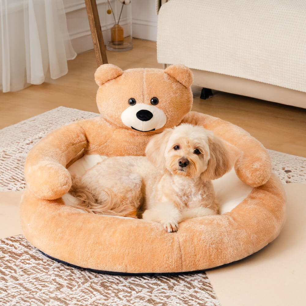 Süßes abnehmbares Kuschelbär-Katzenbett