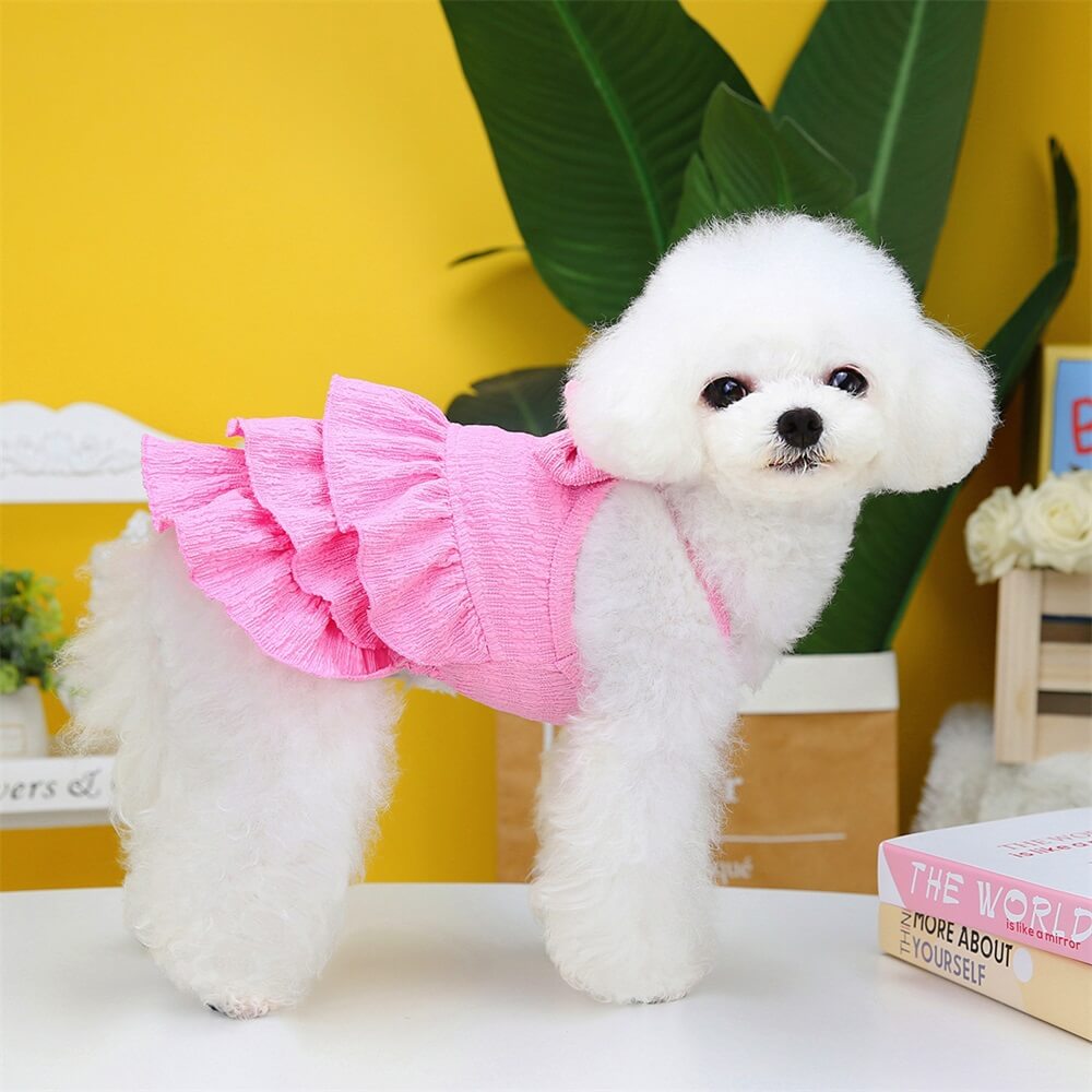 Adorable Rüschhundekleid mit Schleife - Perfekt für Sommerausflüge