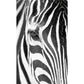 Frendorf | Fotografie Zebra Huid Wandkunst Extra Grote Wand Muurdecoratie Decal voor Accentmuur, Aangepaste Maat Beschikbaar