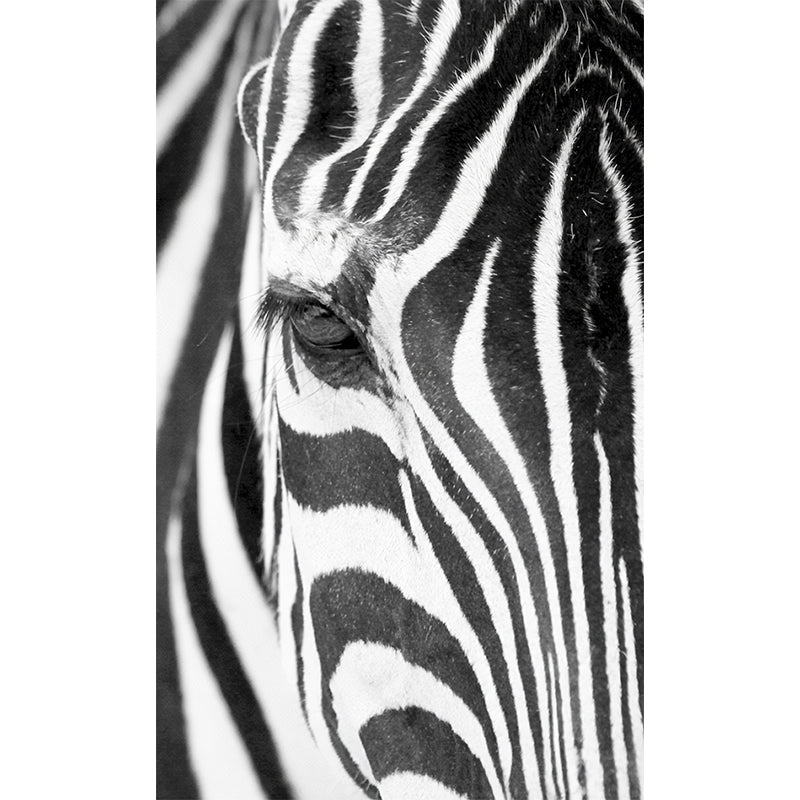 Frendorf | Fotografie Zebra Huid Wandkunst Extra Grote Wand Muurdecoratie Decal voor Accentmuur, Aangepaste Maat Beschikbaar