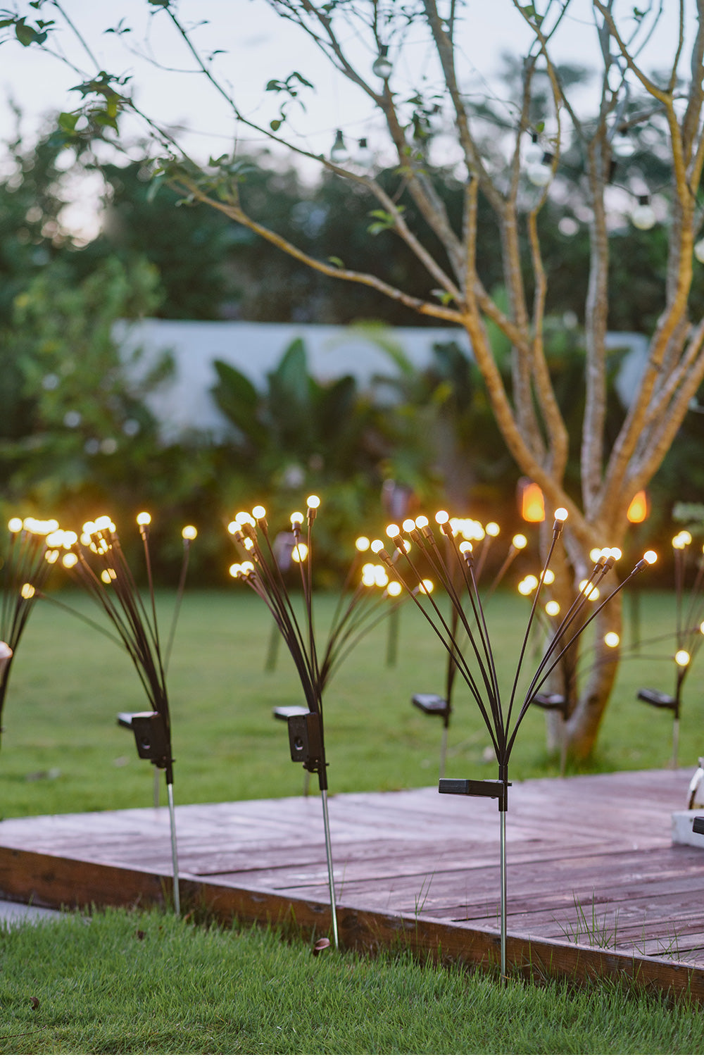 Frendorf | Bezaubernder Tanz des Lichts