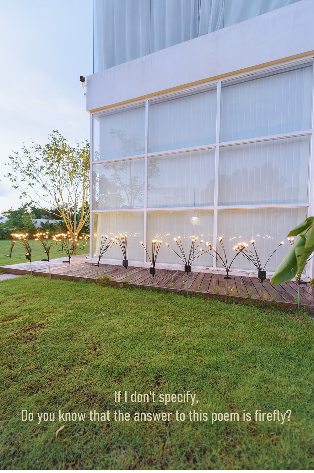 Frendorf | Bezaubernder Tanz des Lichts