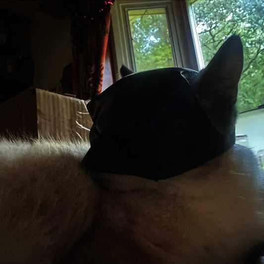 Frendorf | Bat Cat Maske