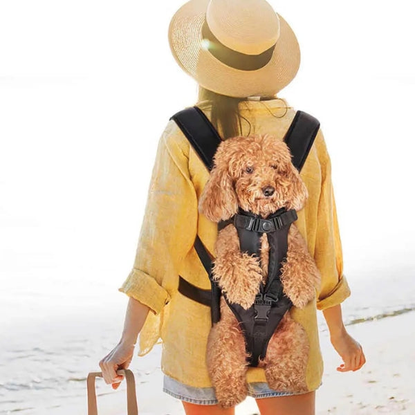 Frendorf | Hunde Trage Rucksack | Idealer Canine Rucksack für Spaziergänge und Trekking Abenteuer