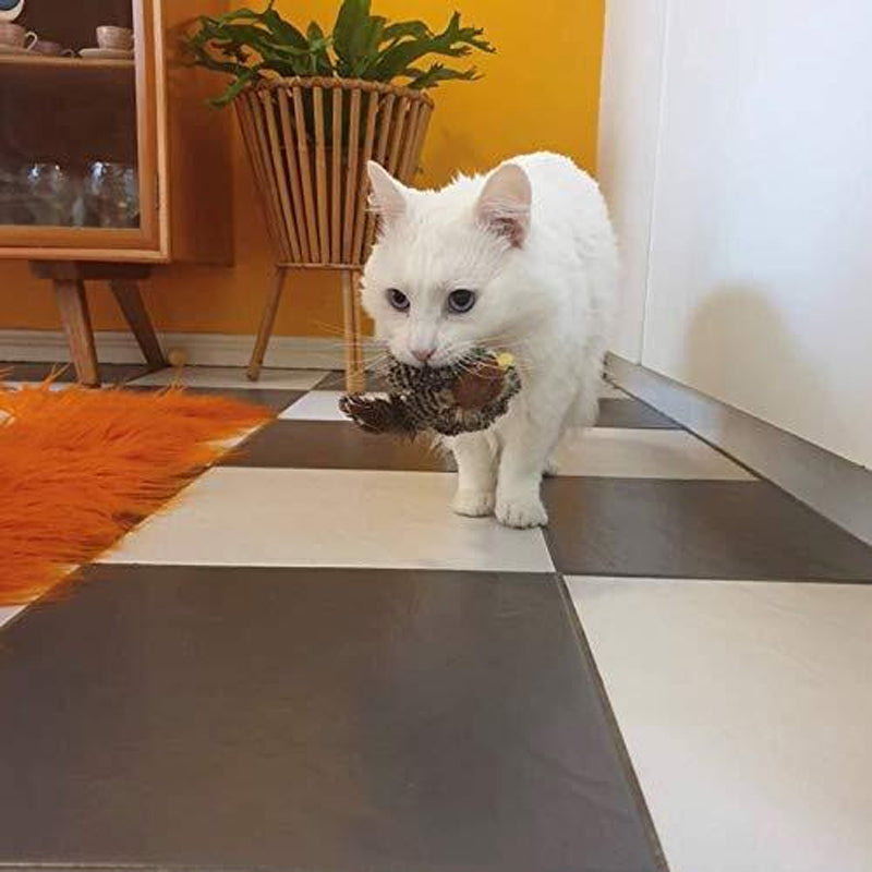 Frendorf | Aufgerüsteter Simulierter Zwitschervogel