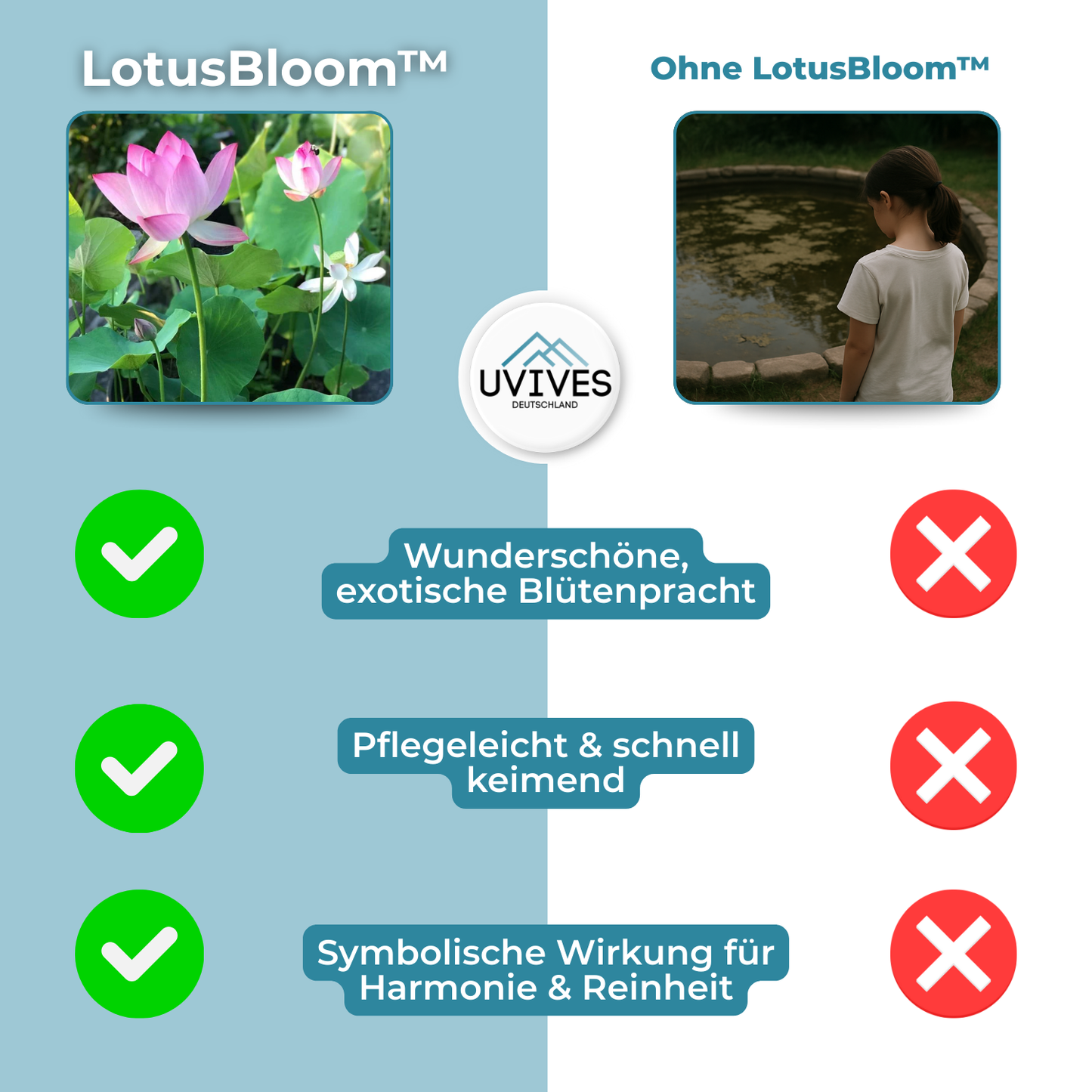 Frendorf |  LotusBloom – Magische Blütenpracht für deinen Teich