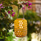 Frendorf | LumiNest Solare LED Laterne | Tragbar | Wetterfest | Nachhaltige Gartenbeleuchtung | Deko für Terrasse