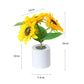Frendorf | Florentia - Beleuchtete Blumenlampe
