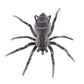 Frendorf | Spider Soft Lure Angelköder