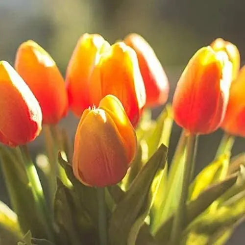 Frendorf | 10er-Set Künstliche Tulpen aus Latex – Stilvolle und langlebige Dekoblüten