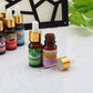 Frendorf | 10ml Ätherisches Kräuteröl