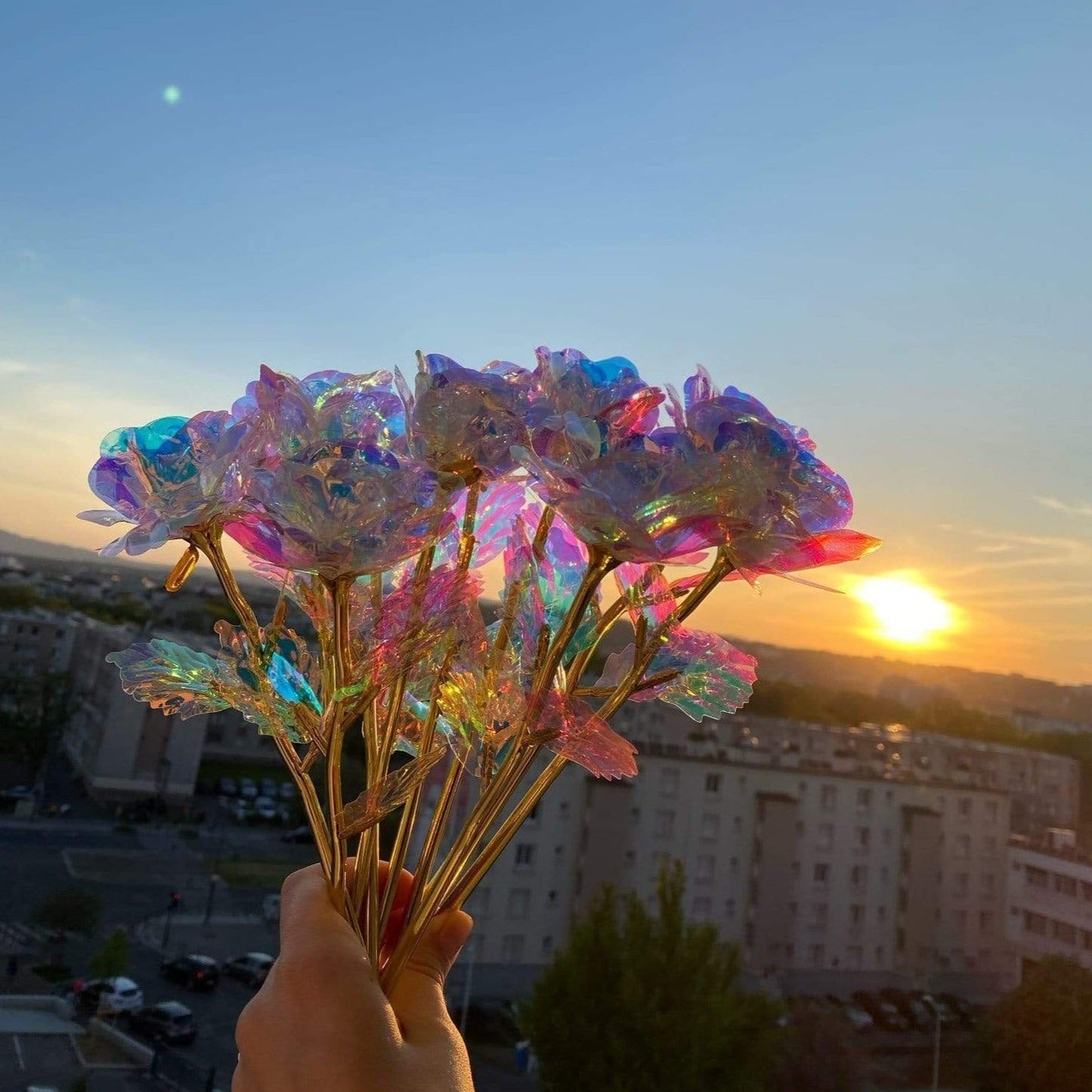 Frendorf | 10 Stück Galaxy Rosen