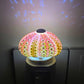 LumiCraft – Einzigartige DIY Tischlampe mit natürlicher Urmuschel für eine stimmungsvolle Einrichtung