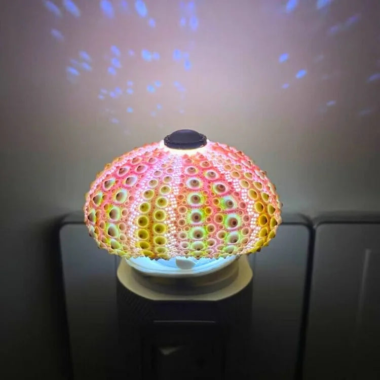 LumiCraft – Einzigartige DIY Tischlampe mit natürlicher Urmuschel für eine stimmungsvolle Einrichtung