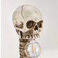 Horror-Skelett mit Wirbelsäulenlampe