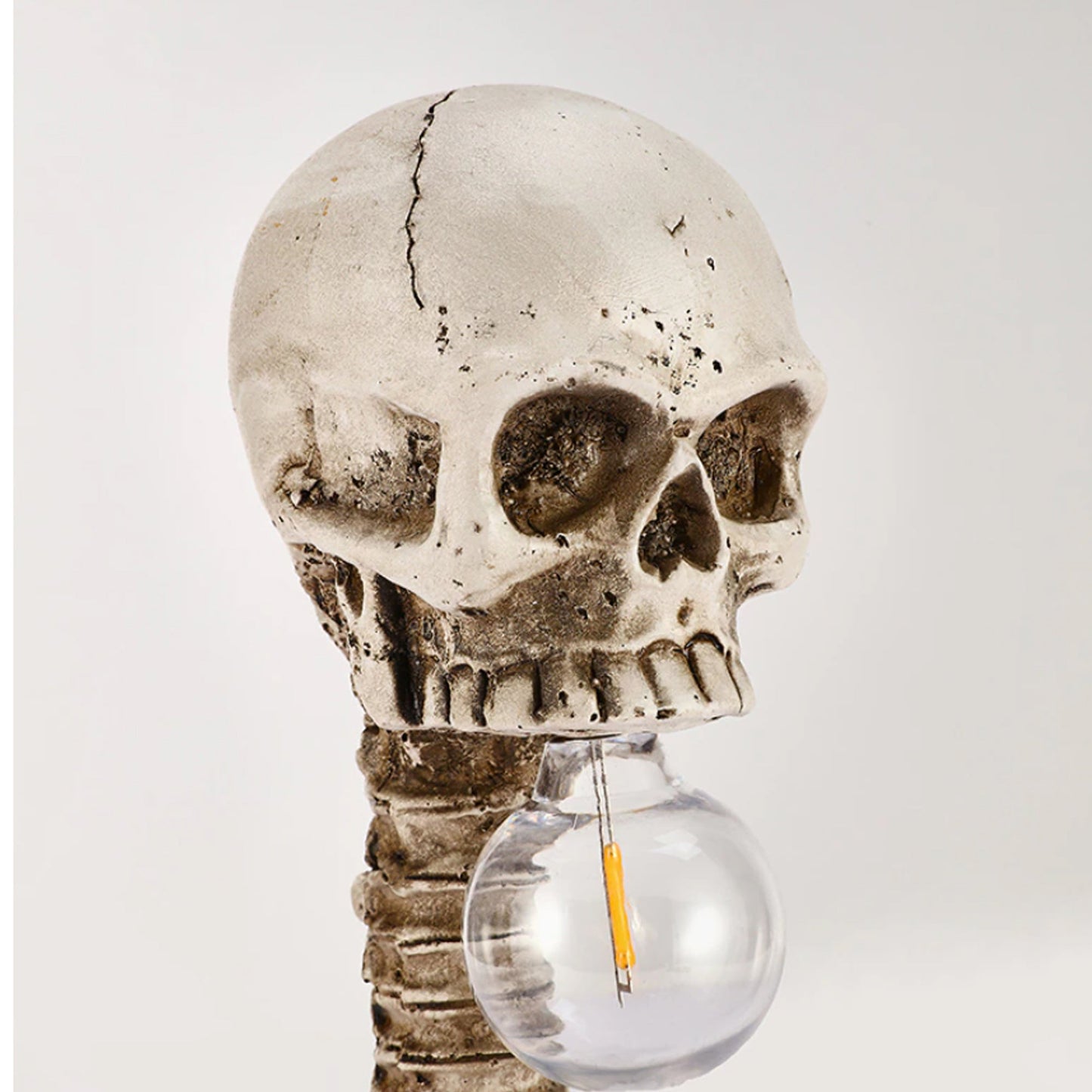 Horror-Skelett mit Wirbelsäulenlampe