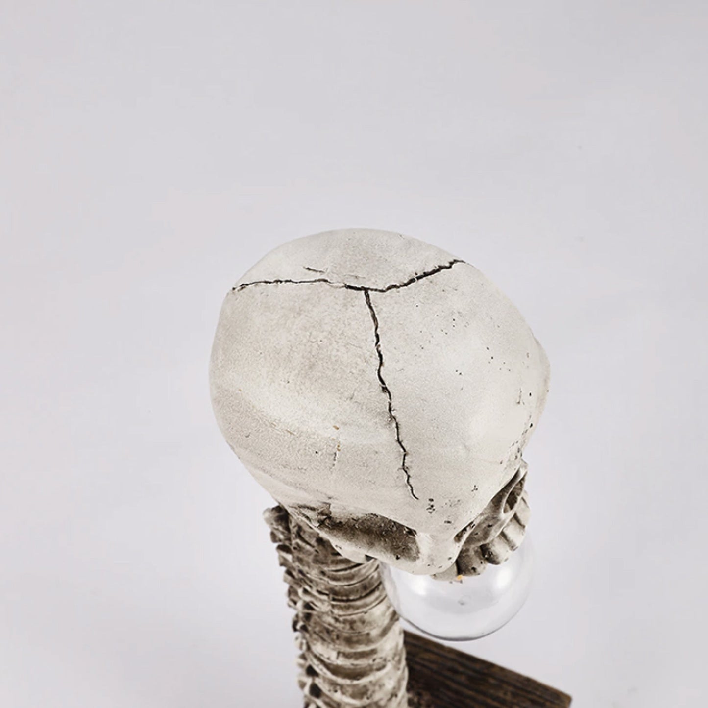 Horror-Skelett mit Wirbelsäulenlampe