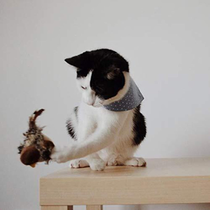 Frendorf | Aufgerüsteter Simulierter Zwitschervogel