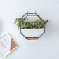 Frendorf | GeoFrame Keramik Wandpflanztopf mit Metallrahmen | Octagon Design