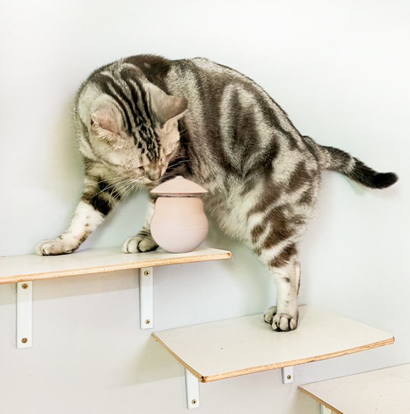 Frendorf | Automatisches Laser-Infrarot-Katzenanreizspielzeug