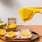 Frendorf | Manuelle Saftpresse