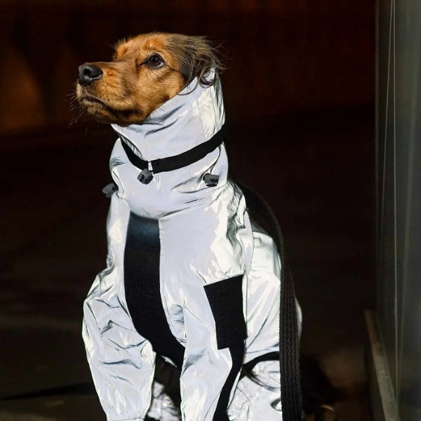 Frendorf | Hunderegenmantel mit Beinen - Wasserdichte Hundejacke für kleine und große Rassen | UK Gemütliche Winterbekleidung