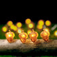 Moderne Erntedankfest Ahorn Eichel Kürbis Dekoration 30 LED Lichterkette